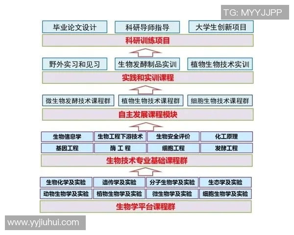以积分为核心构建现代消费体系的创新路径与应用实践探索