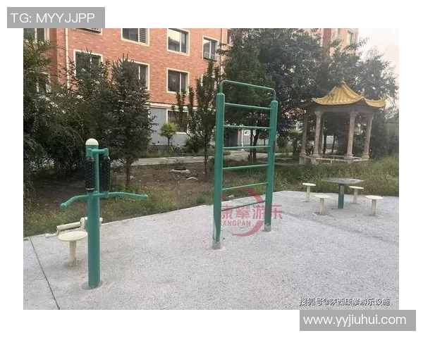 陕西健身器材：陕西省本地健身器材生产厂家与销售渠道